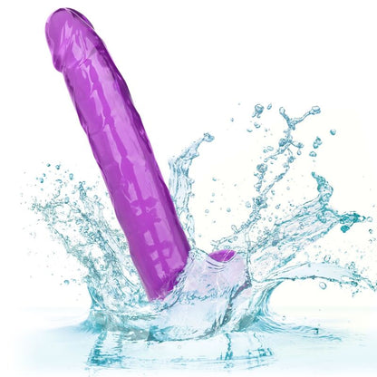 CALEXOTICS - DILDO VELIKOSTI QUEEN FIALOVÉ 25,5 CM