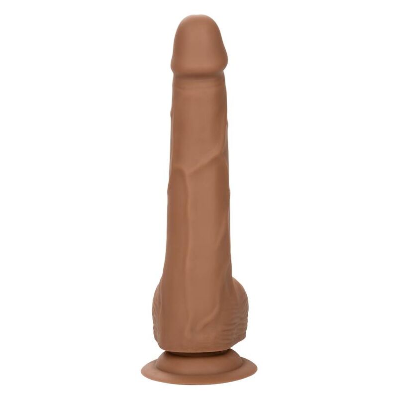 CALEXOTICS - SILIKONOVÉ PĚNY 20,32 CM HNĚDÉ