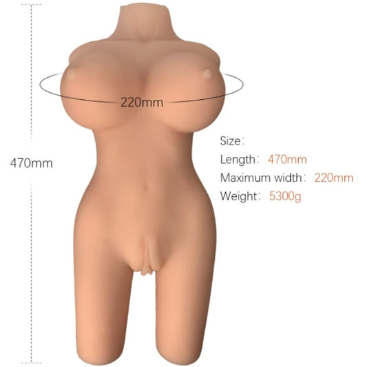ARMONY - REALISTICKÝ MODEL ŽENSKÉHO TORZA 6