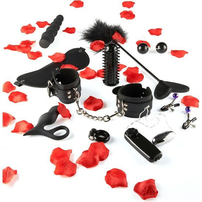 TOYJOY - ÚŽASNÁ SADA SEXUÁLNÍCH HRAČEK PRO POTĚŠENÍ